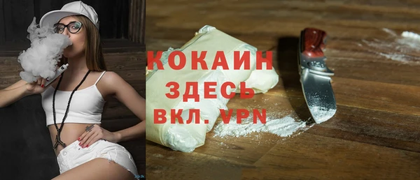 шишки Новозыбков
