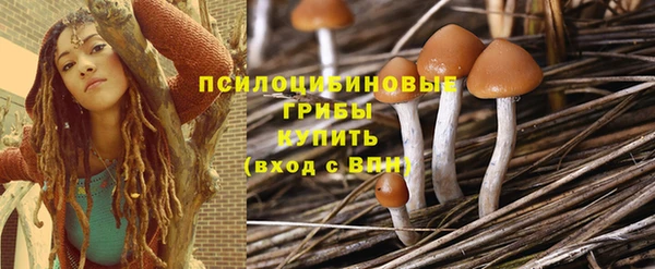 мет Нязепетровск