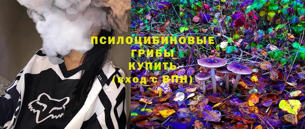 шишки Новозыбков