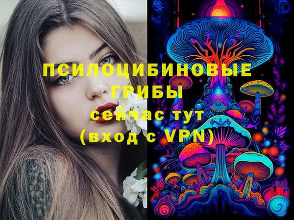 амф Няндома