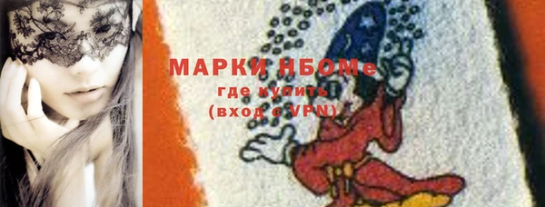 шишки Новозыбков