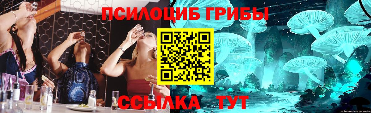 Кимры  Галлюциногенные грибы мухоморы  Вход с VPN 